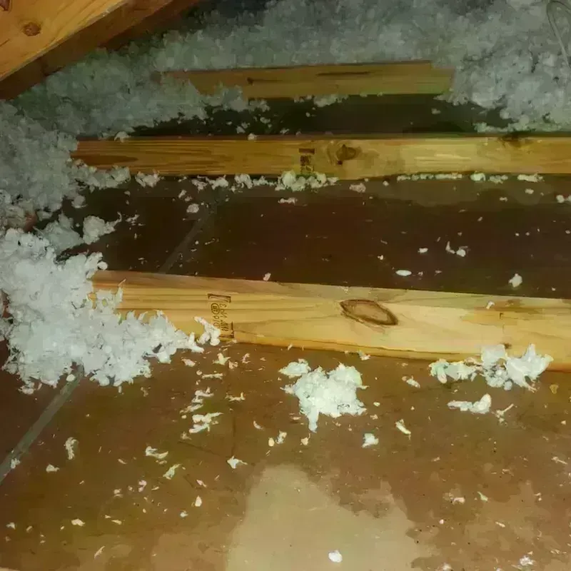 Attic Water Damage in City of Franklin, VA