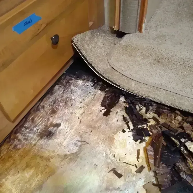 Wood Floor Water Damage in City of Franklin, VA